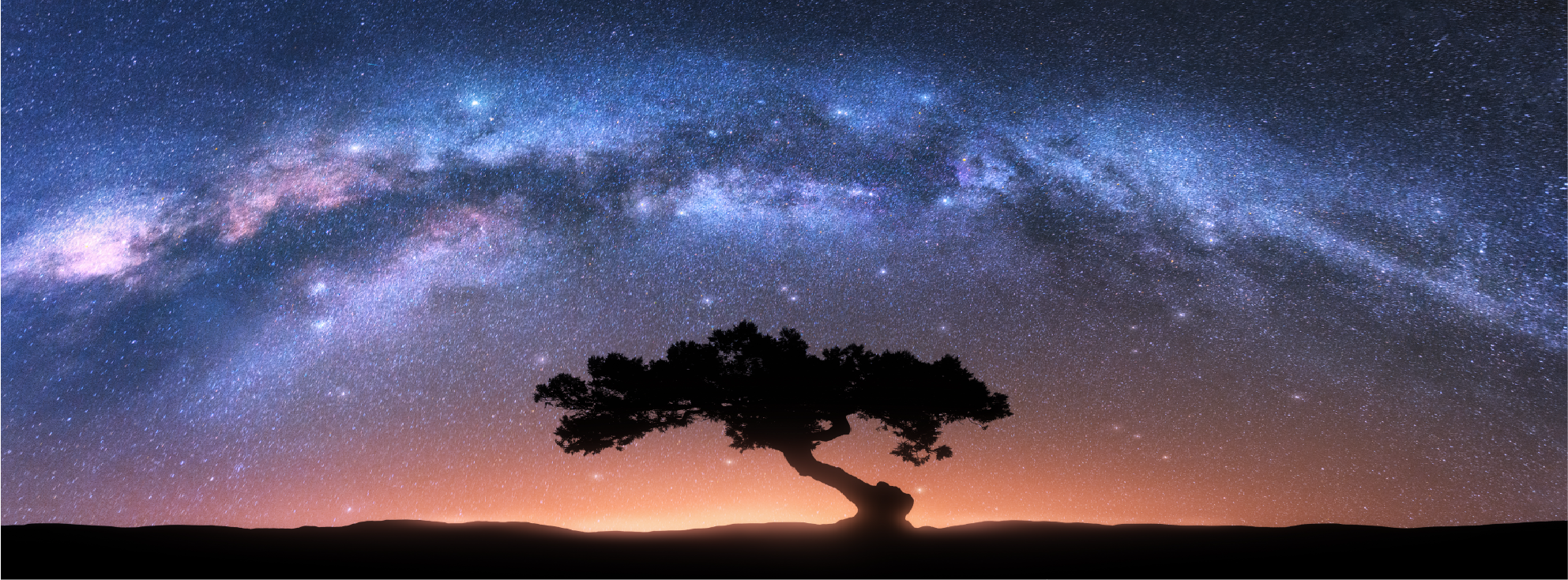 Tree in space